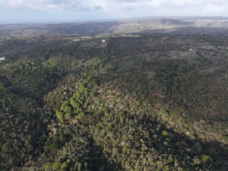 land for sale on Santiago do Cacém (7540)