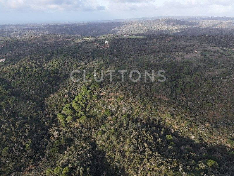 terrain en vente sur Santiago do Cacém (7540)