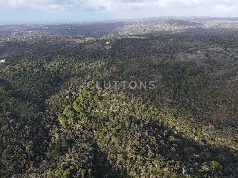 land for sale on Santiago do Cacém (7540)