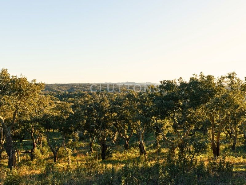 land for sale on Santiago do Cacém (7540)