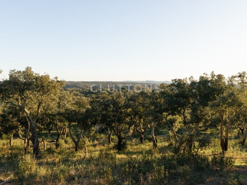 land for sale on Santiago do Cacém (7540)