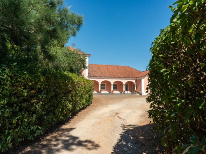 farmhouse 26 Rooms for sale on Alenquer (2580)