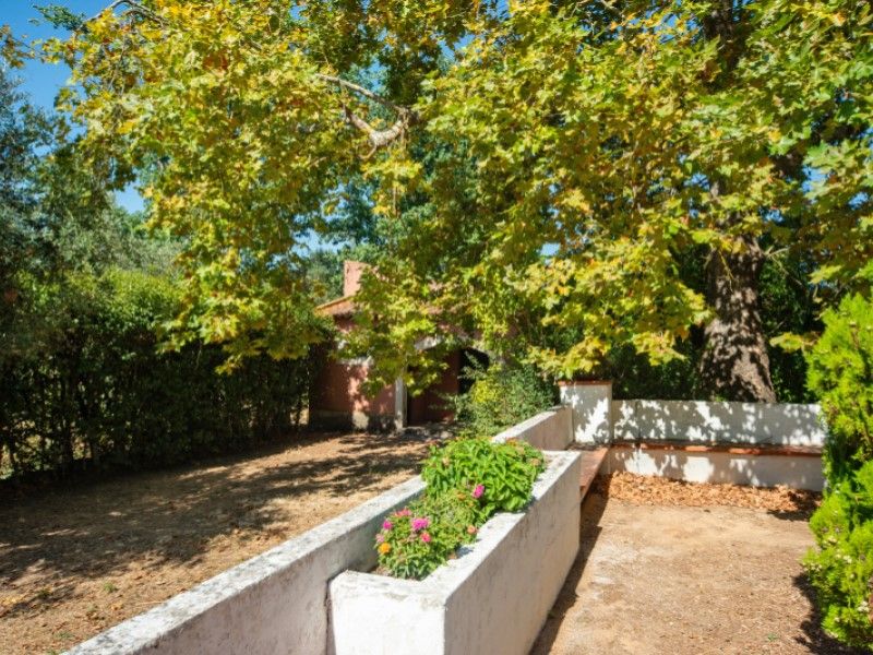 farmhouse 26 Rooms for sale on Alenquer (2580)