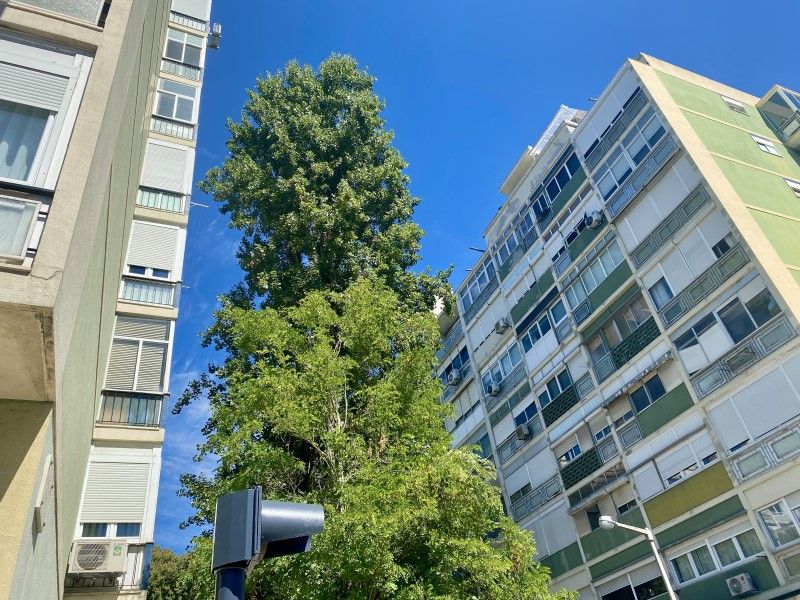 appartement 5 Pièces en vente sur Lisboa (1500)