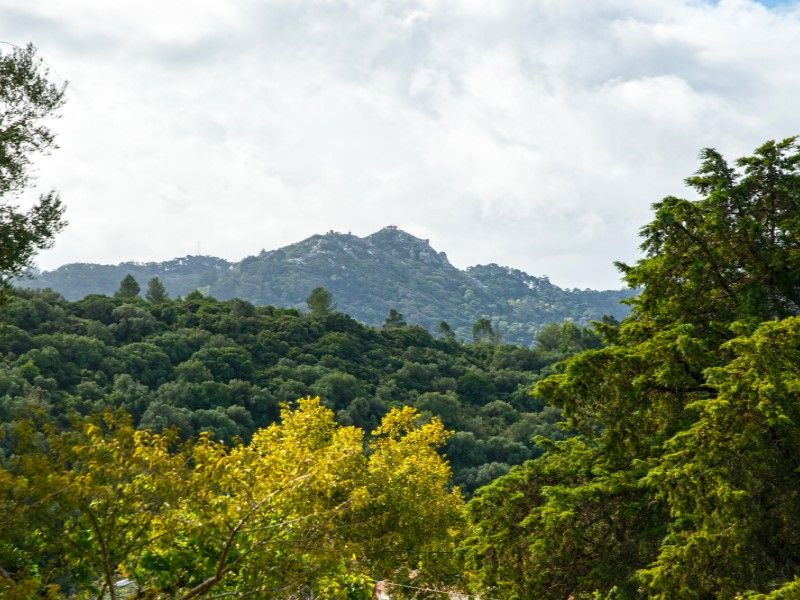 house 9 Rooms for sale on Sintra (2710)