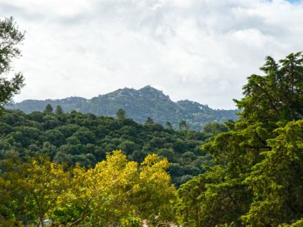 Vente Maison Sintra 9 Pièces