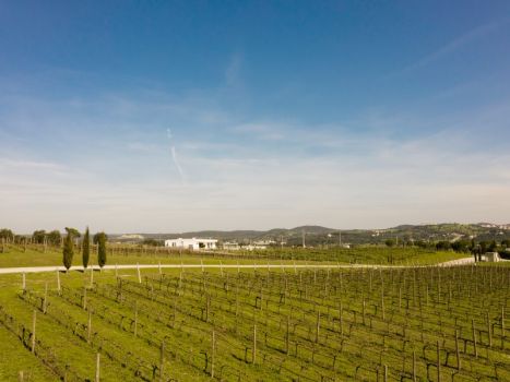 Vente Maison Montemor-o-Novo 8 Pièces