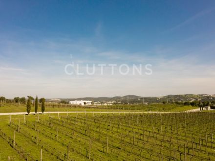 Sale House Montemor-o-Novo 8&nbsp;Rooms