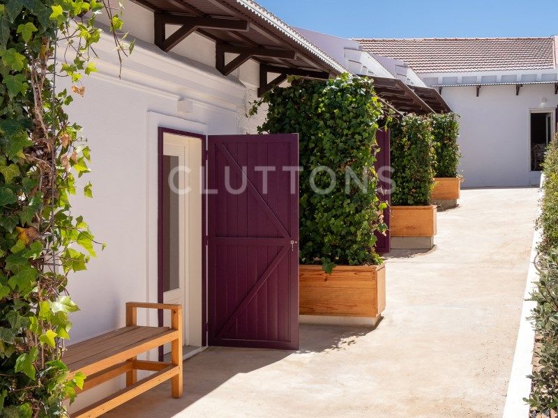 house 23 Rooms for sale on Grândola (7570)