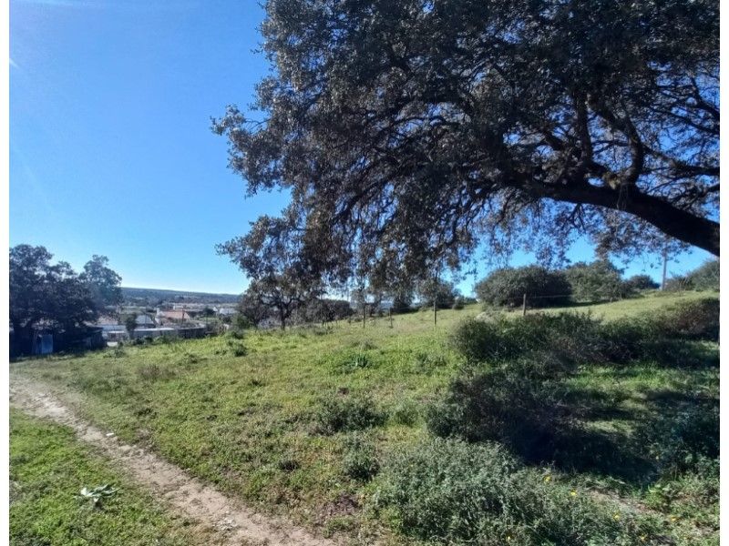 terrain en vente sur Évora (7000)