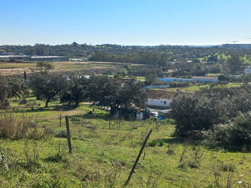 terrain en vente sur Évora (7000)