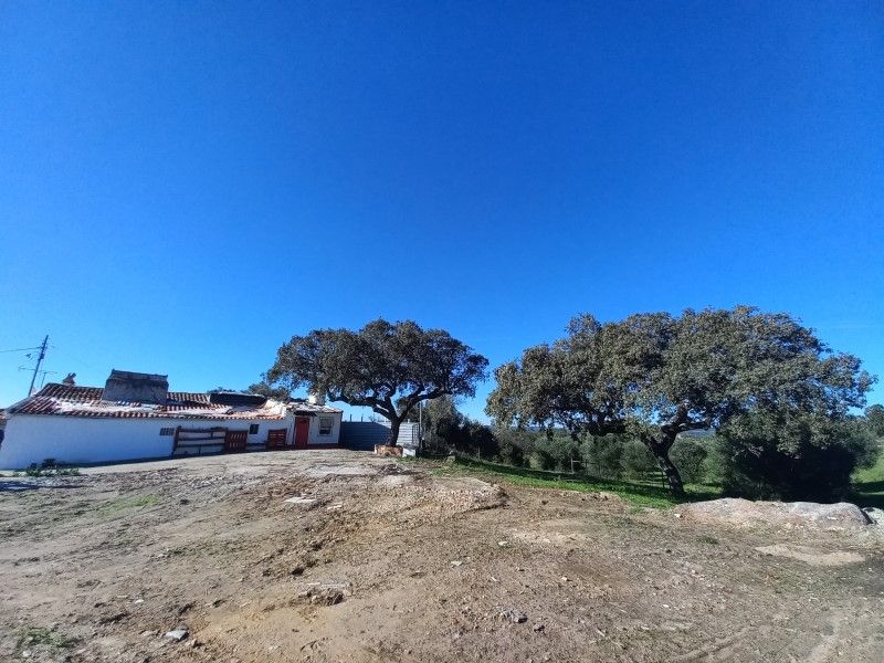 terrain en vente sur Évora (7000)