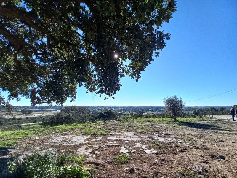 terrain en vente sur Évora (7000)