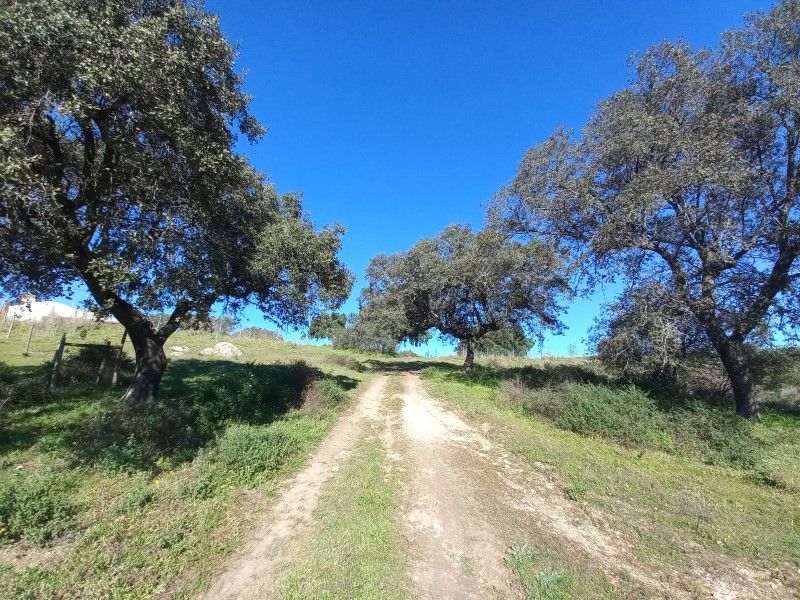 terrain en vente sur Évora (7000)