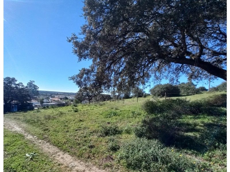 terrain en vente sur Évora (7000)