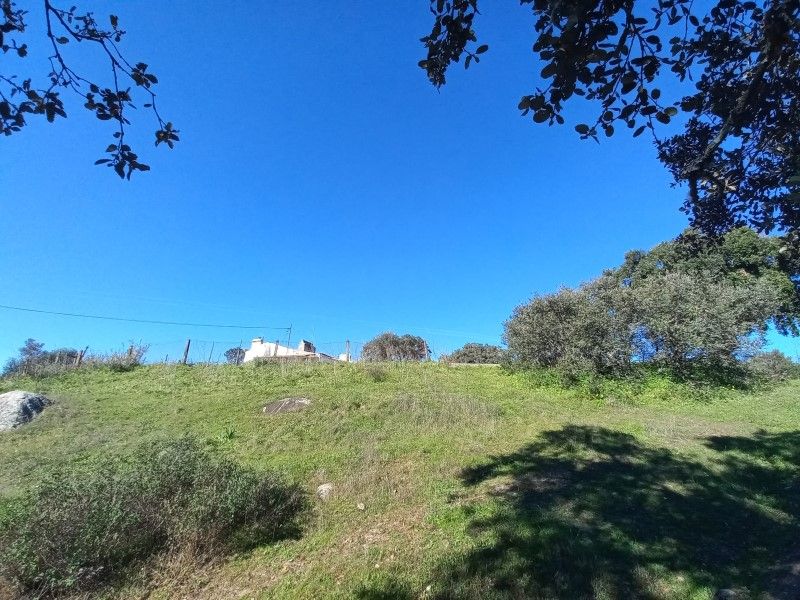 terrain en vente sur Évora (7000)