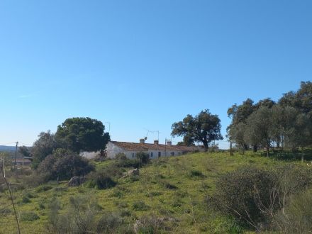 Sale Land Évora