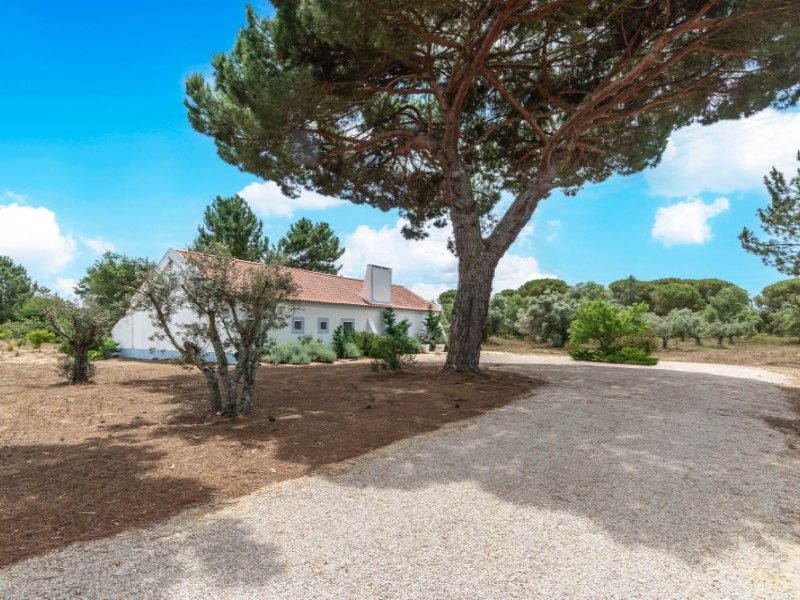 maison 8 Pièces en vente sur Grândola (7570)