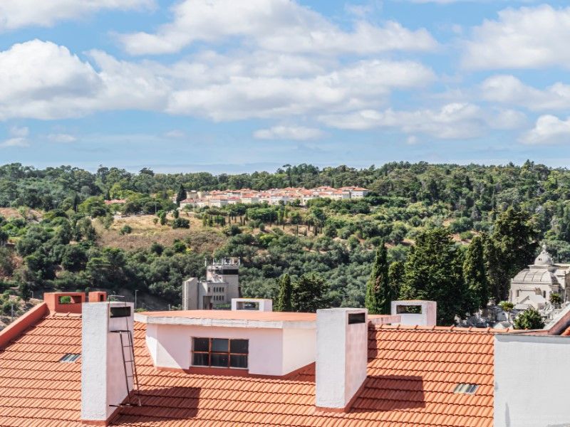 apartment 5 Rooms for sale on Lisboa (1350)