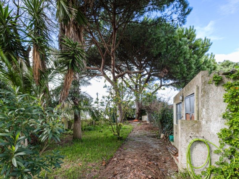 maison en vente sur Almada (2825)