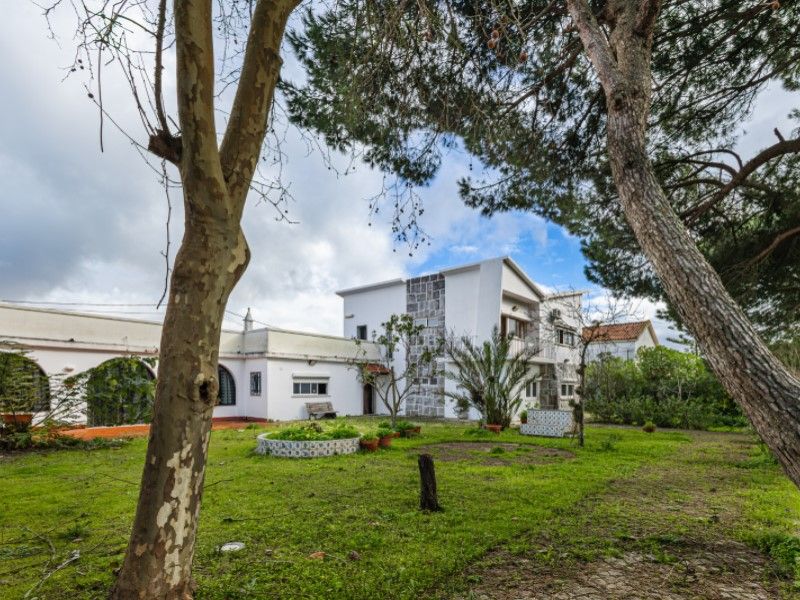 house 12 Rooms for sale on Almada (2825)