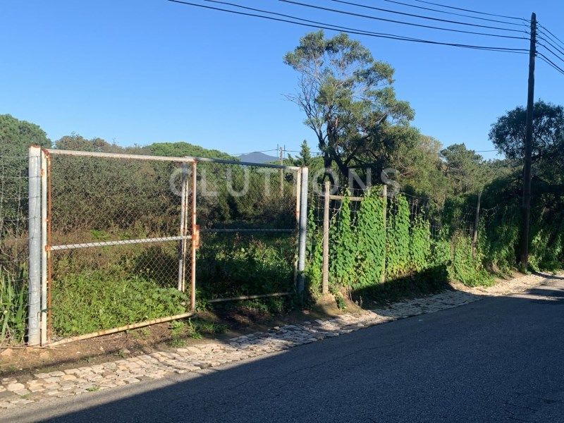 miscellaneous for sale on Cascais (2765)