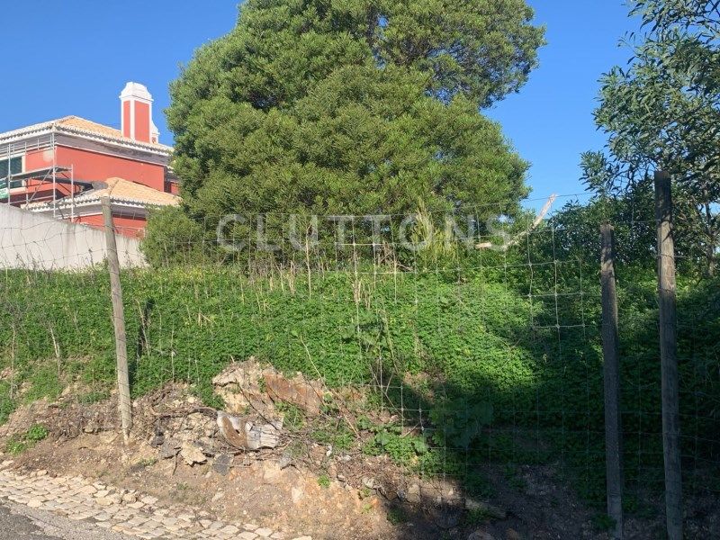 miscellaneous for sale on Cascais (2765)