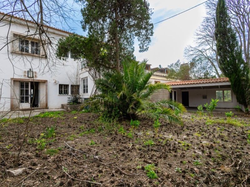 house 14 Rooms for sale on Cascais (2750)