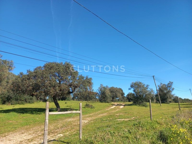 land for sale on Évora (7000)