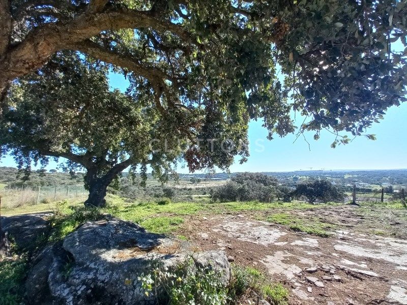 land for sale on Évora (7000)