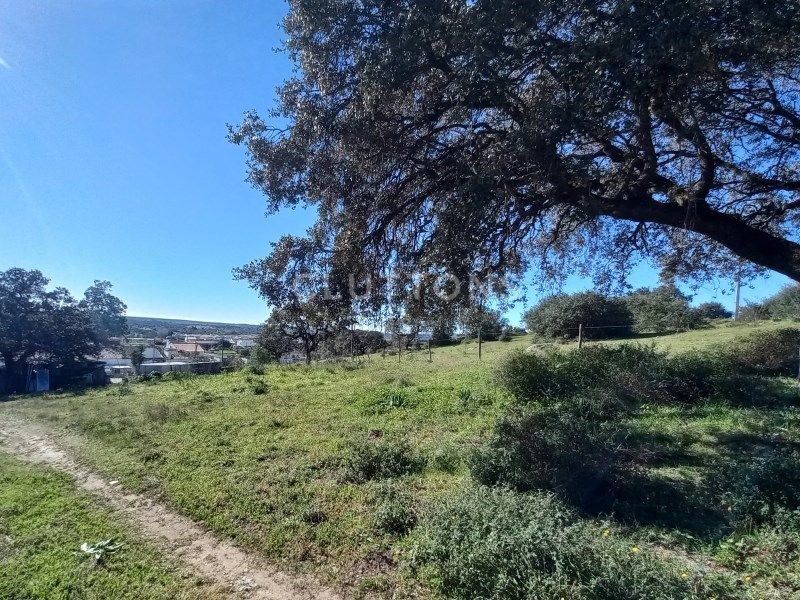 land for sale on Évora (7000)