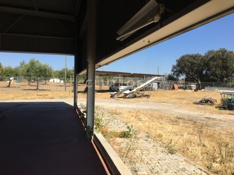 land 1 room for sale on Redondo (7171)