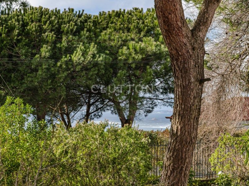house 12 Rooms for sale on Almada (2825)