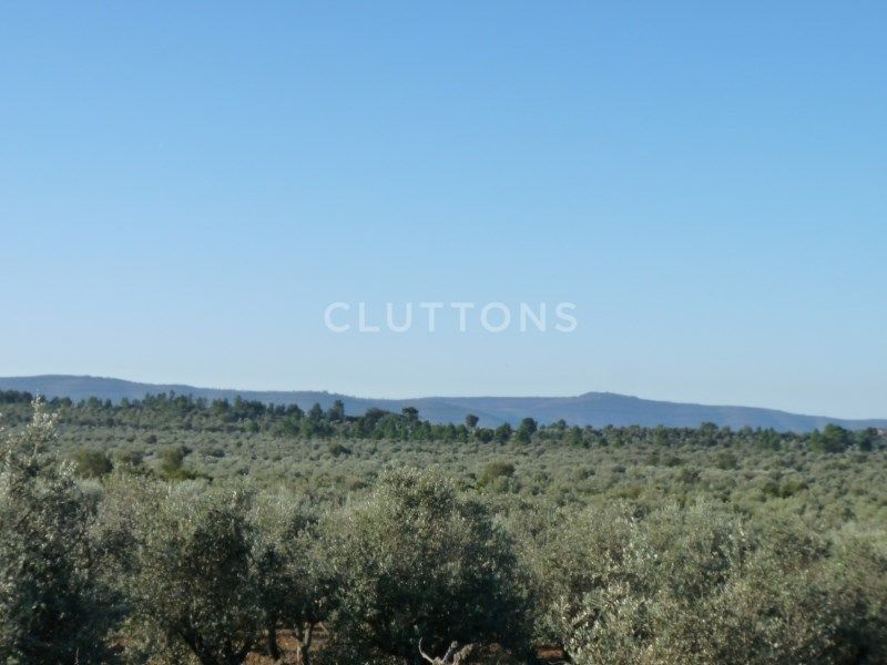 land for sale on Borba (7150)