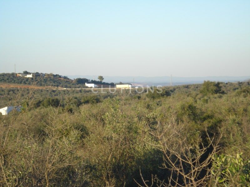 land for sale on Borba (7150)