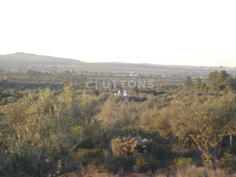land for sale on Borba (7150)