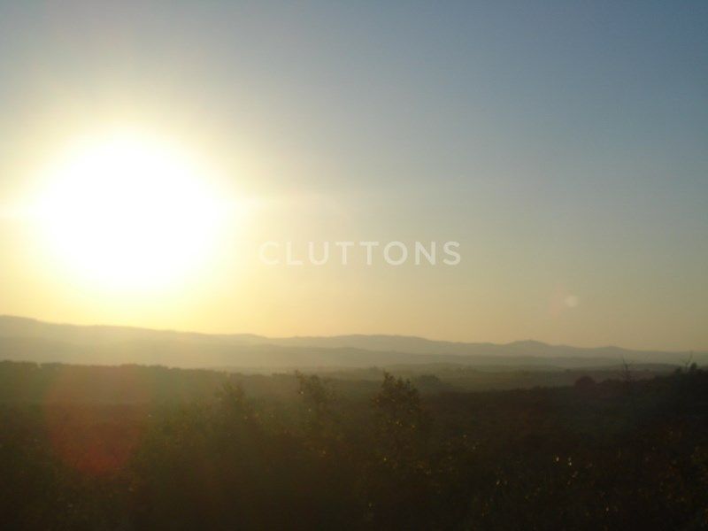 land for sale on Borba (7150)