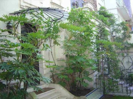 Vente Maison Asnières 8&nbsp;Pièces 230&nbsp;m²