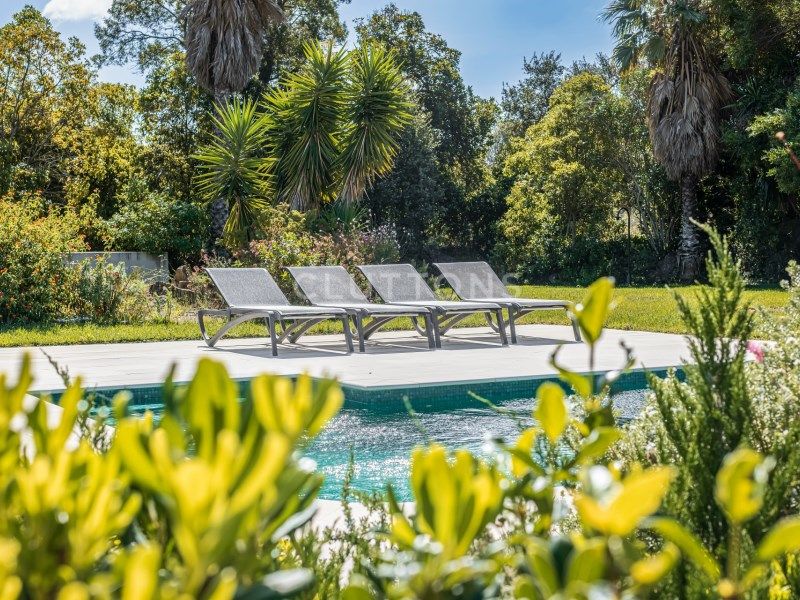 house 12 Rooms for sale on Cascais (2645)