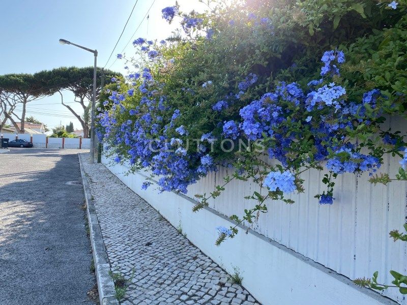 house 11 Rooms for sale on Cascais (2750)